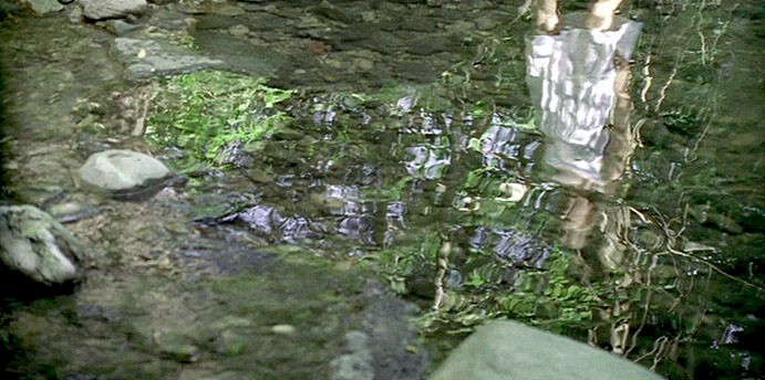 Diapo 6